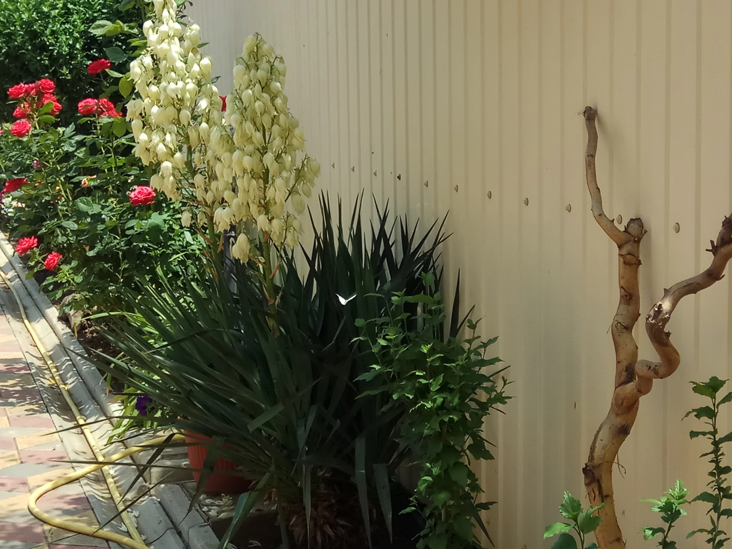 Гостевой Дом Морская 51