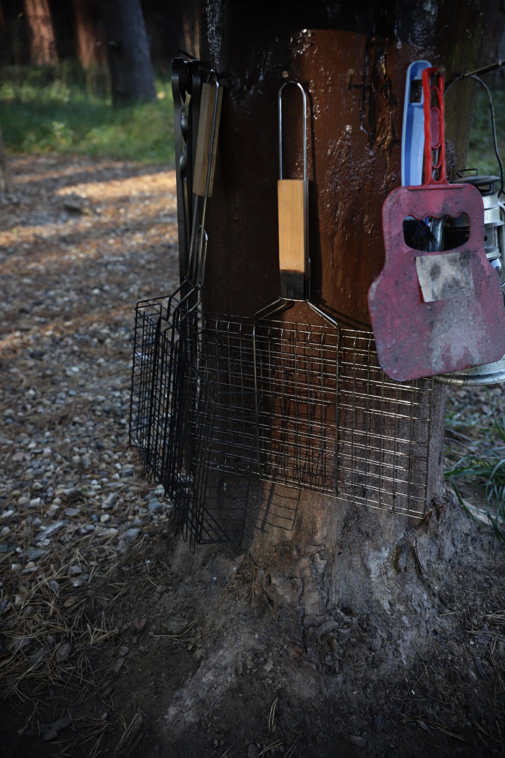 Гостевой дом Дом у леса