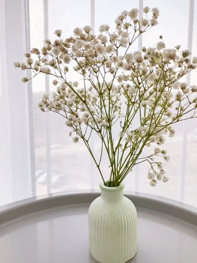 Квартира Green dreams