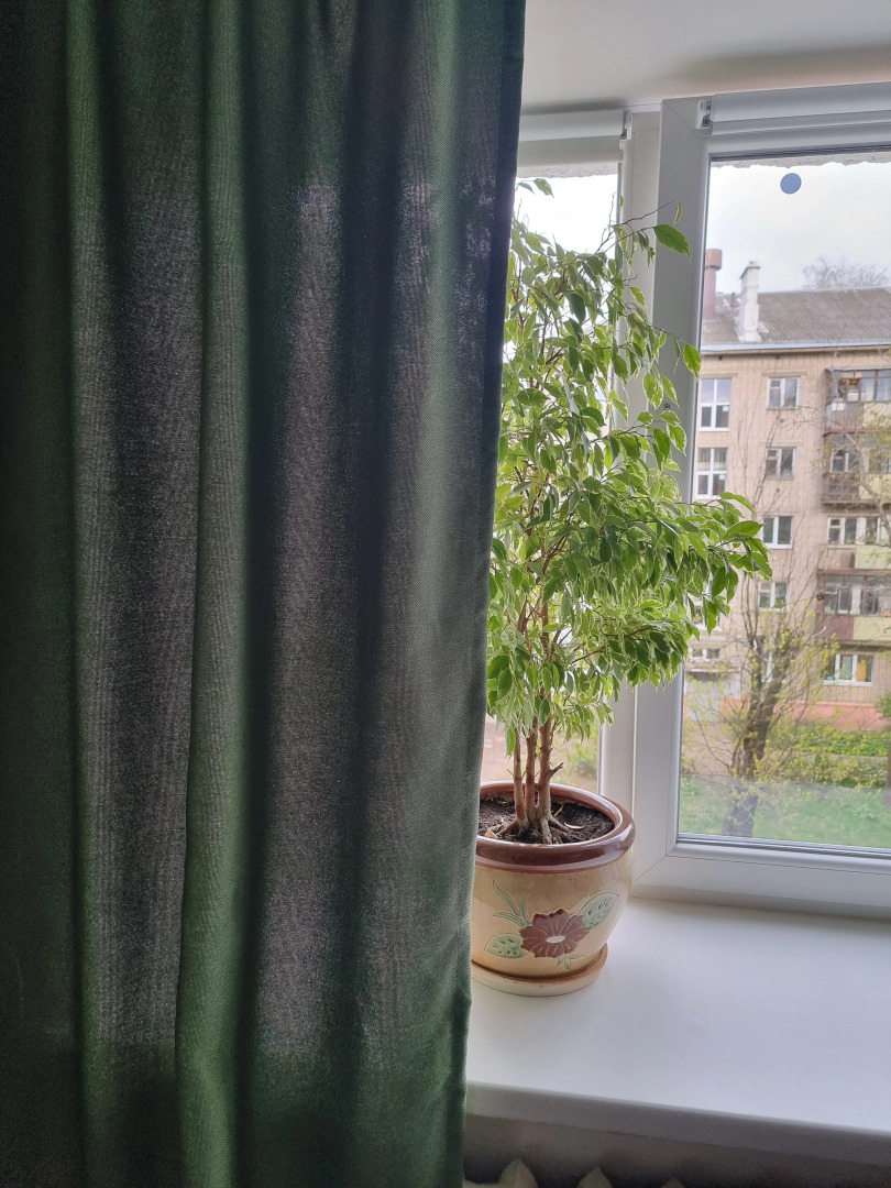 Квартира на Богдановича 6