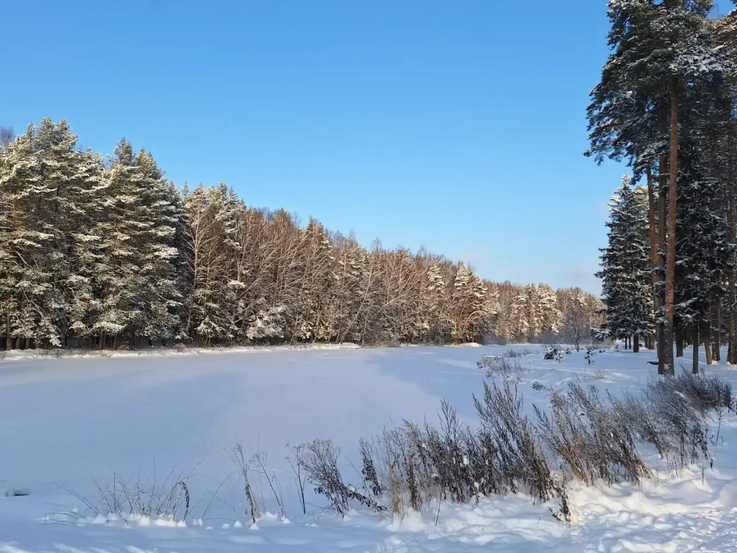 Частный дом в Заветах Ильича с голубой гостиной