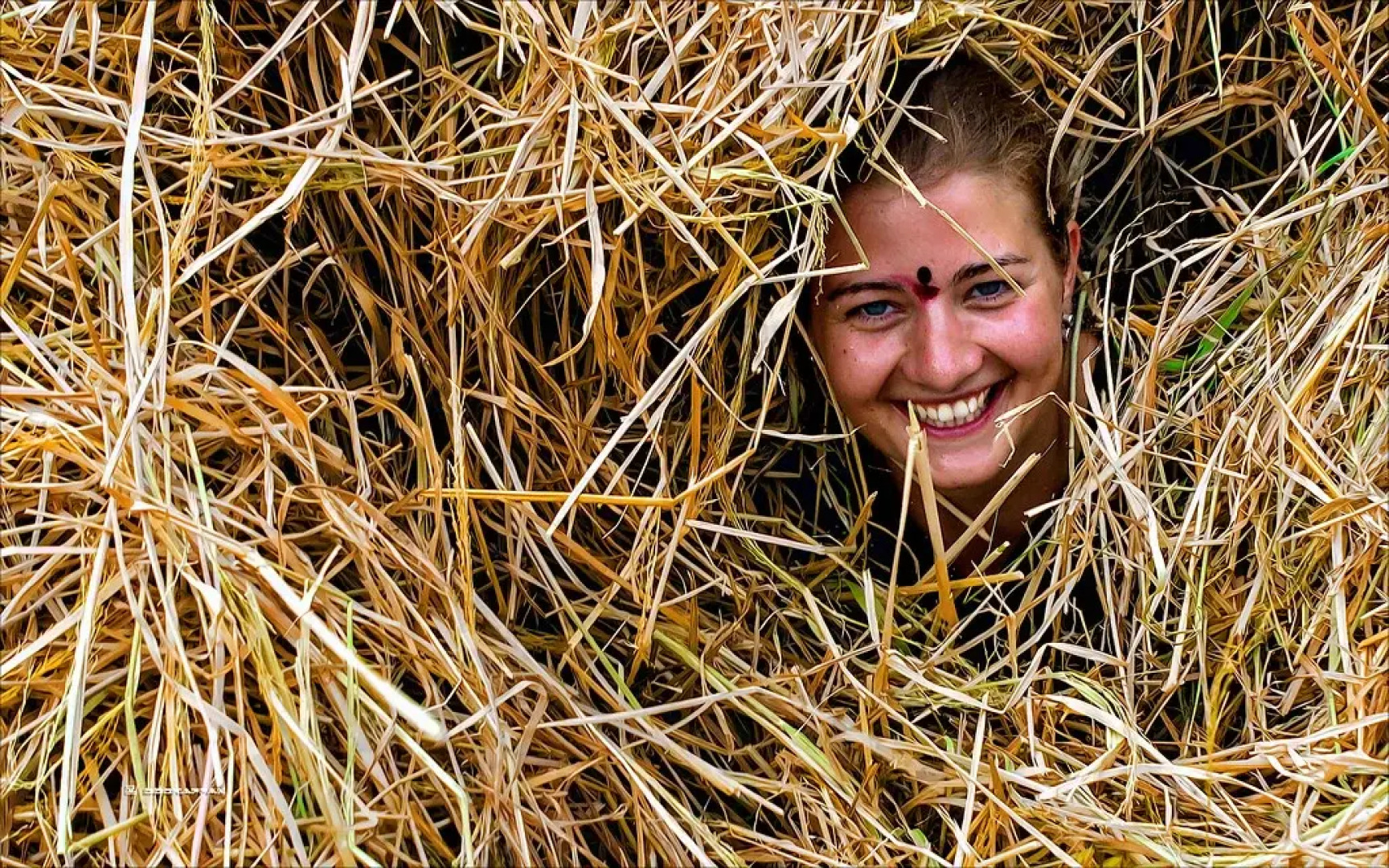 Moon Hill Resort Munnar ( Nature Retreat )