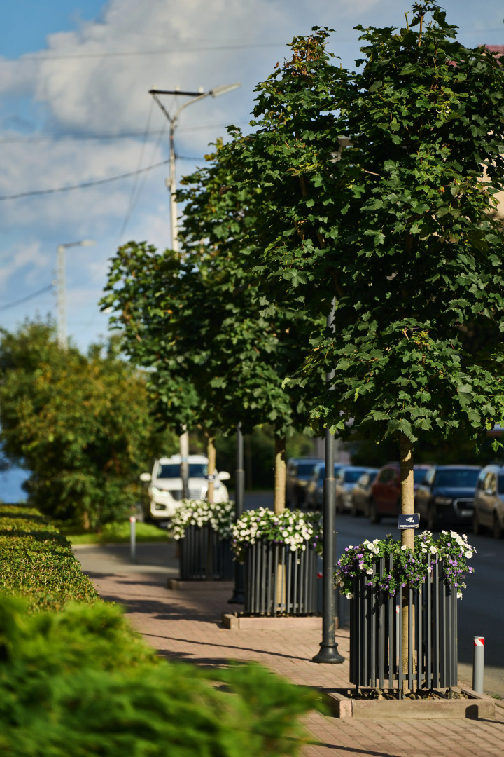 Отель Саквояж впечатлений
