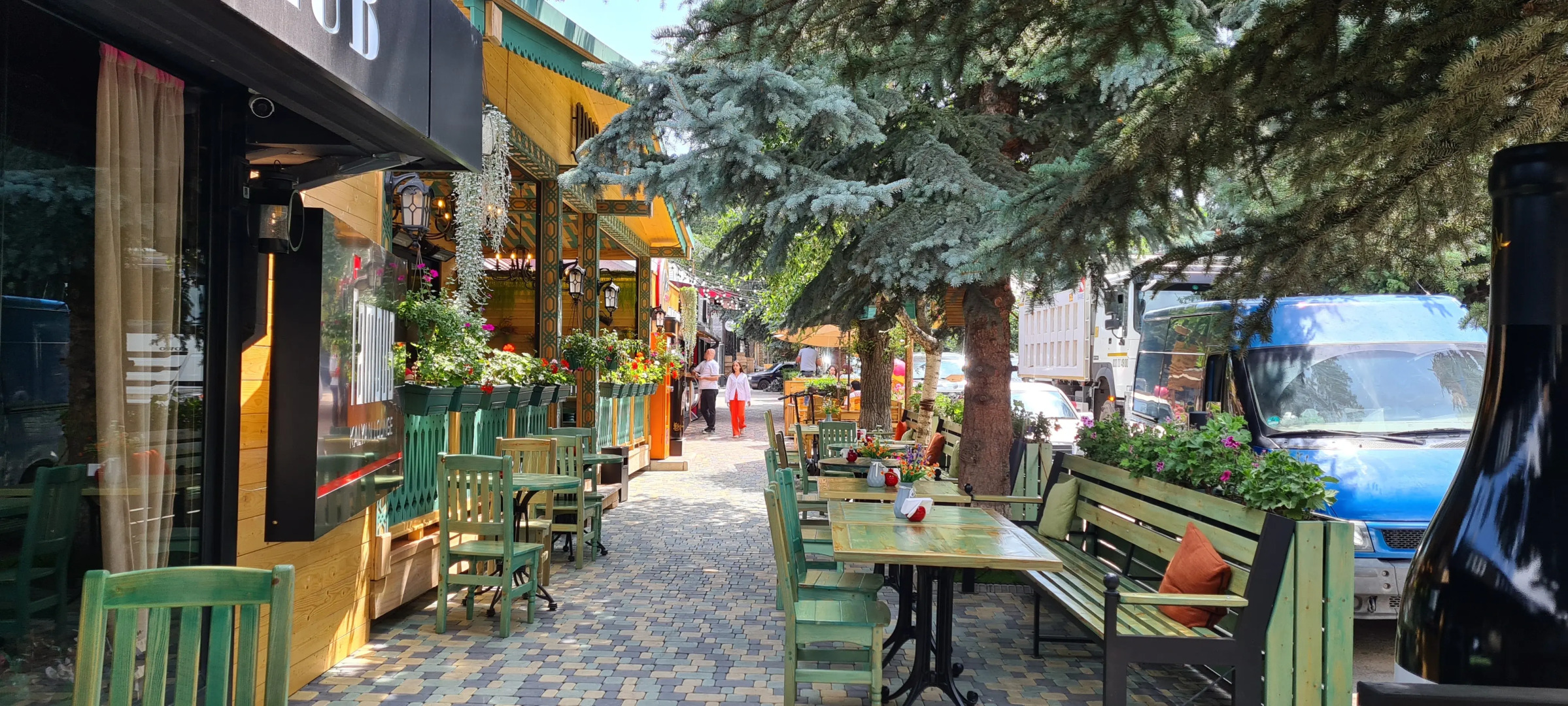 Nature View Designer Studio