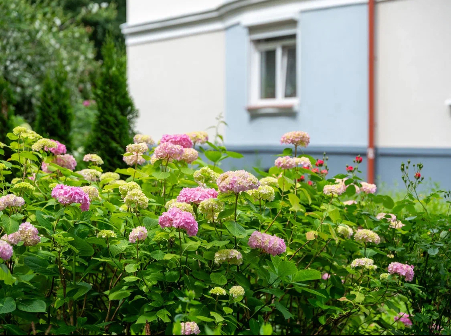 Квартира на Красной Калининград