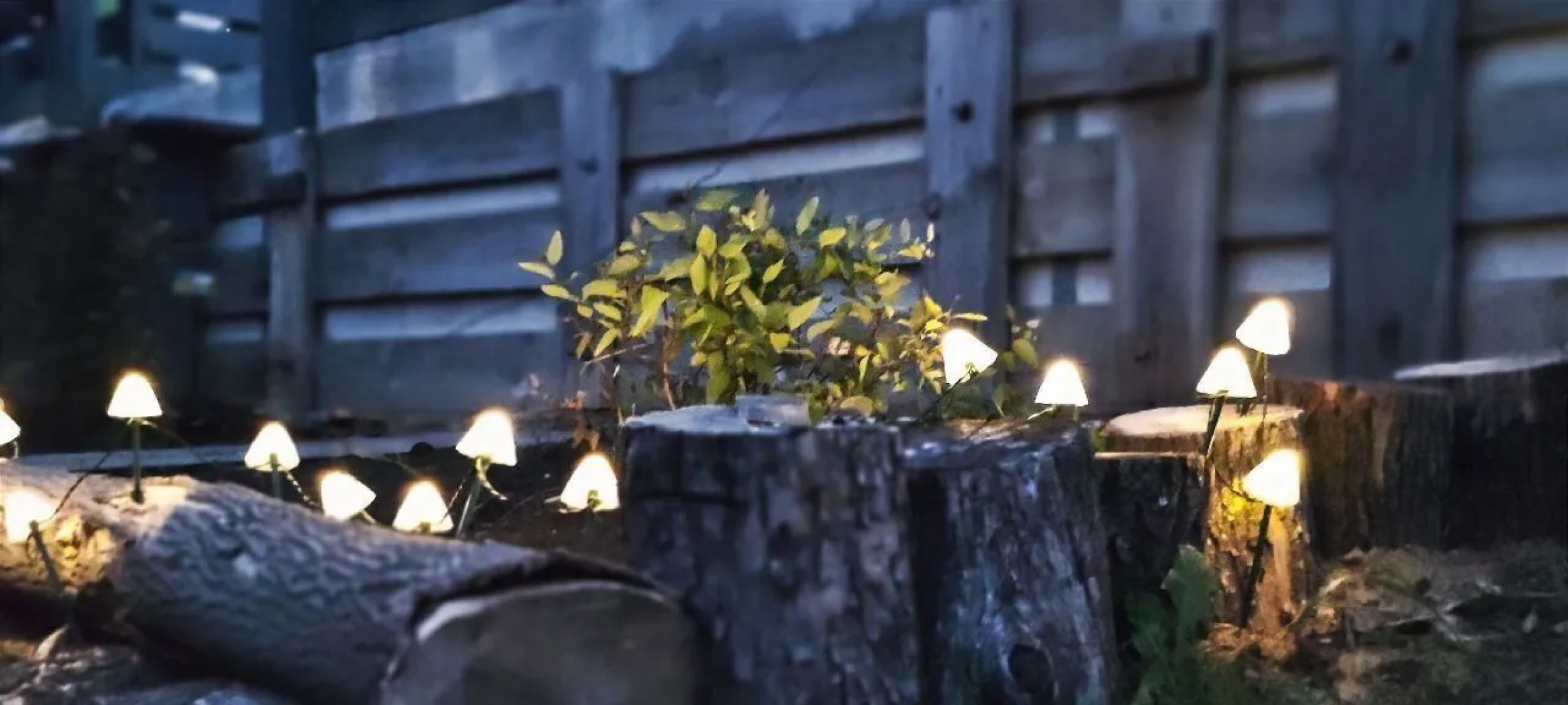 Частный дом Комфорт на Садовой 6