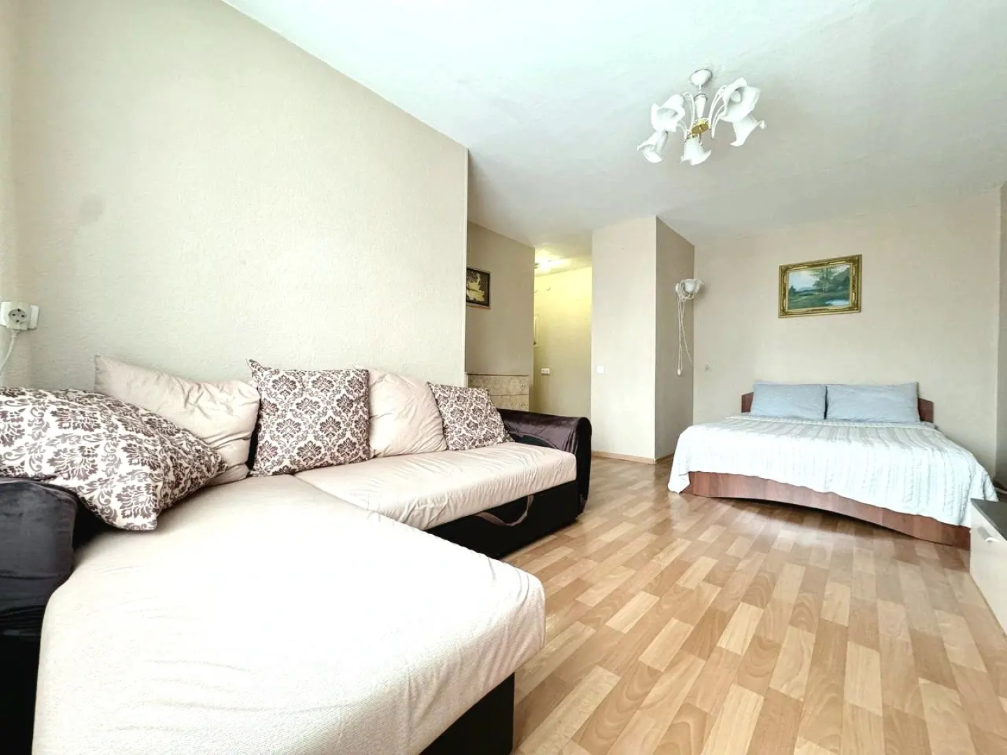 Квартира однокомнатная в центре на Дарвина