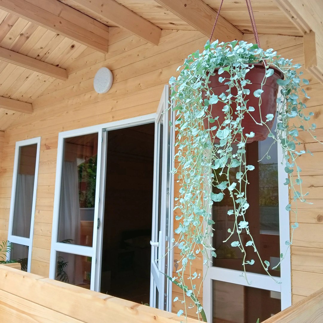 Гостевой дом У Адрианны