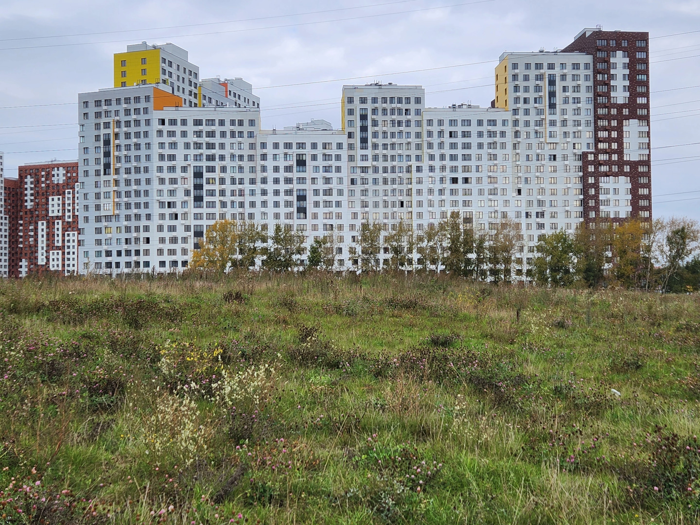 Квартира MyStudio