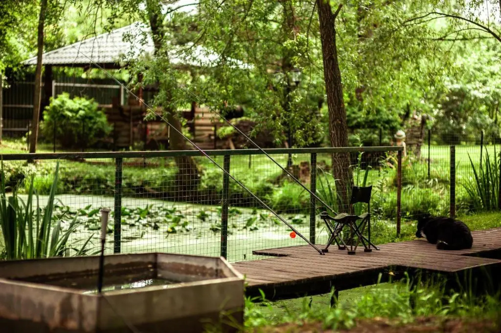 Шале  Изба Николаича