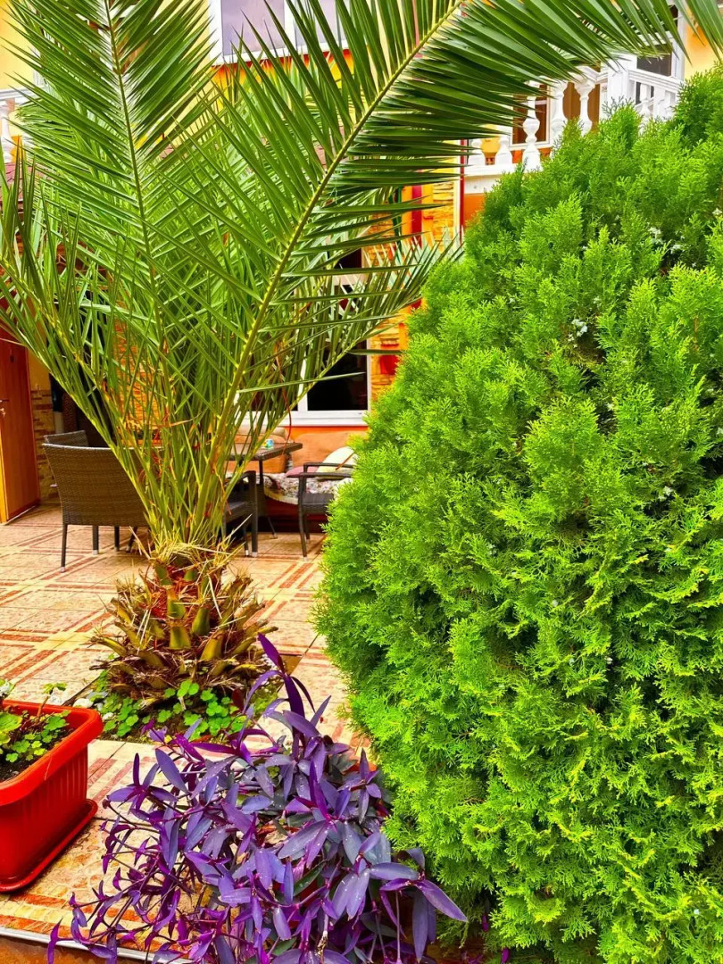 Гостевой дом Белый парус