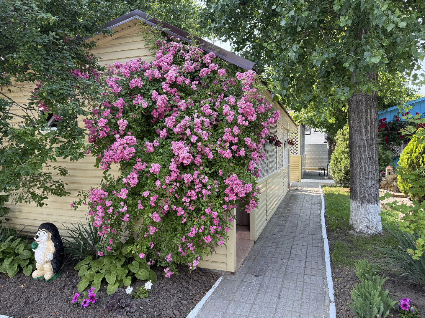 База отдыха Калина Красная