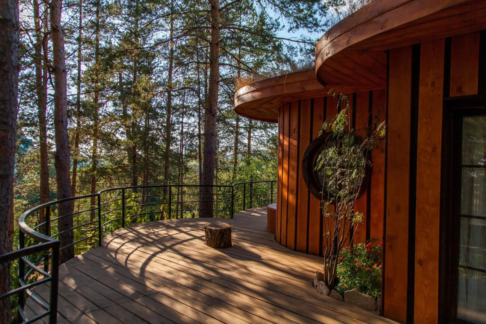 Отель Сорока