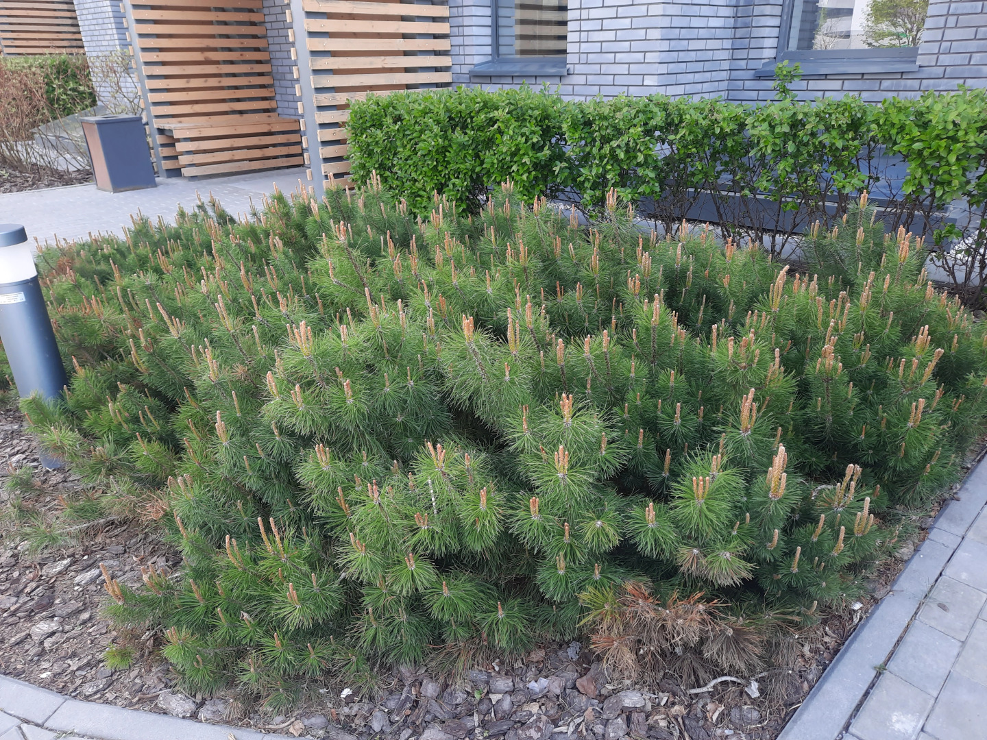 Квартира Home Inn