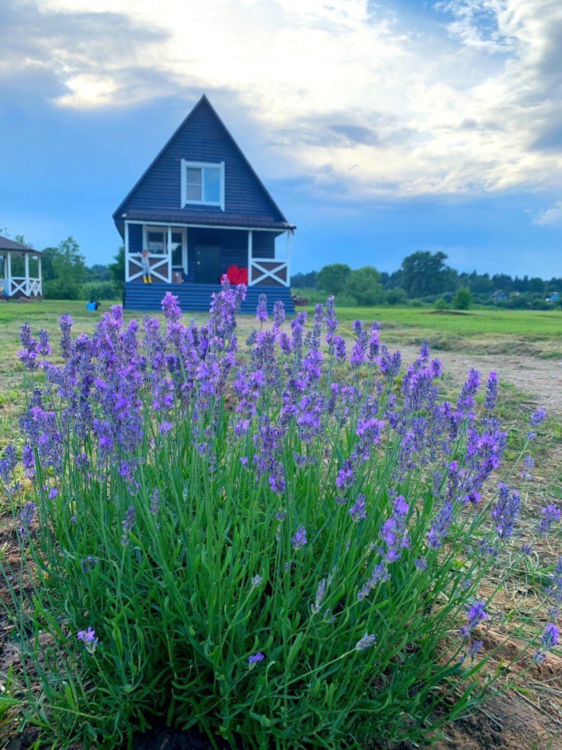 Частный дом Усадьба Павлихино