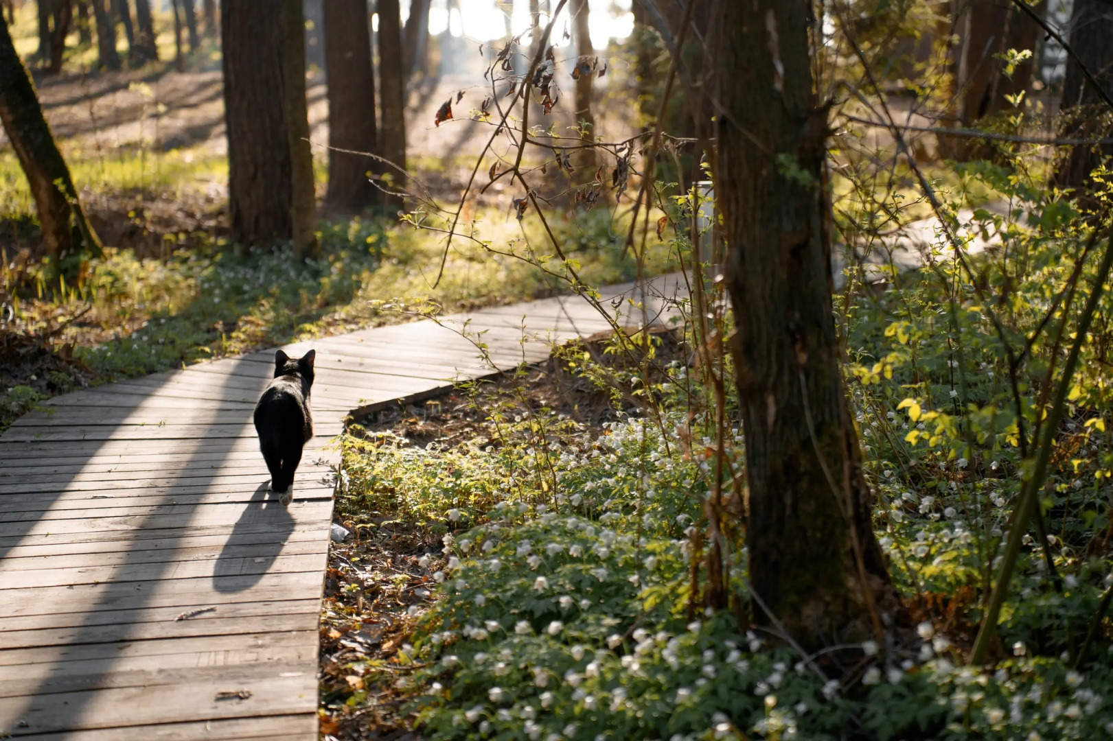 Глэмпинг Море