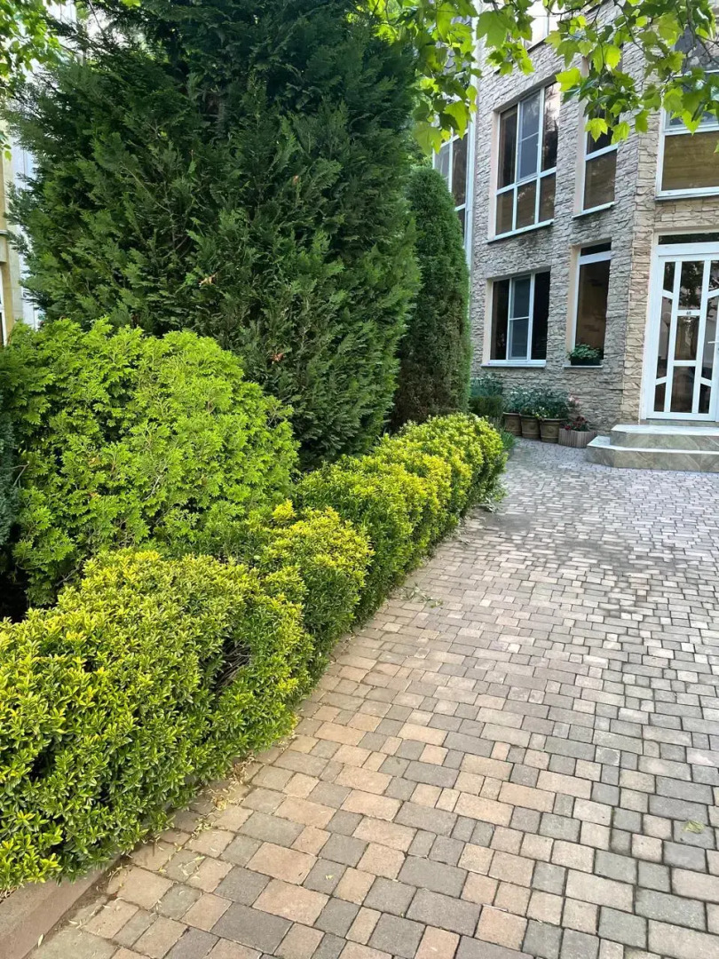 Гостевой дом Розмарин