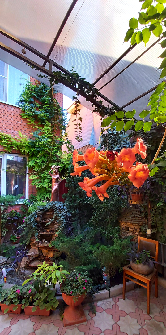 Гостевой дом Катерина