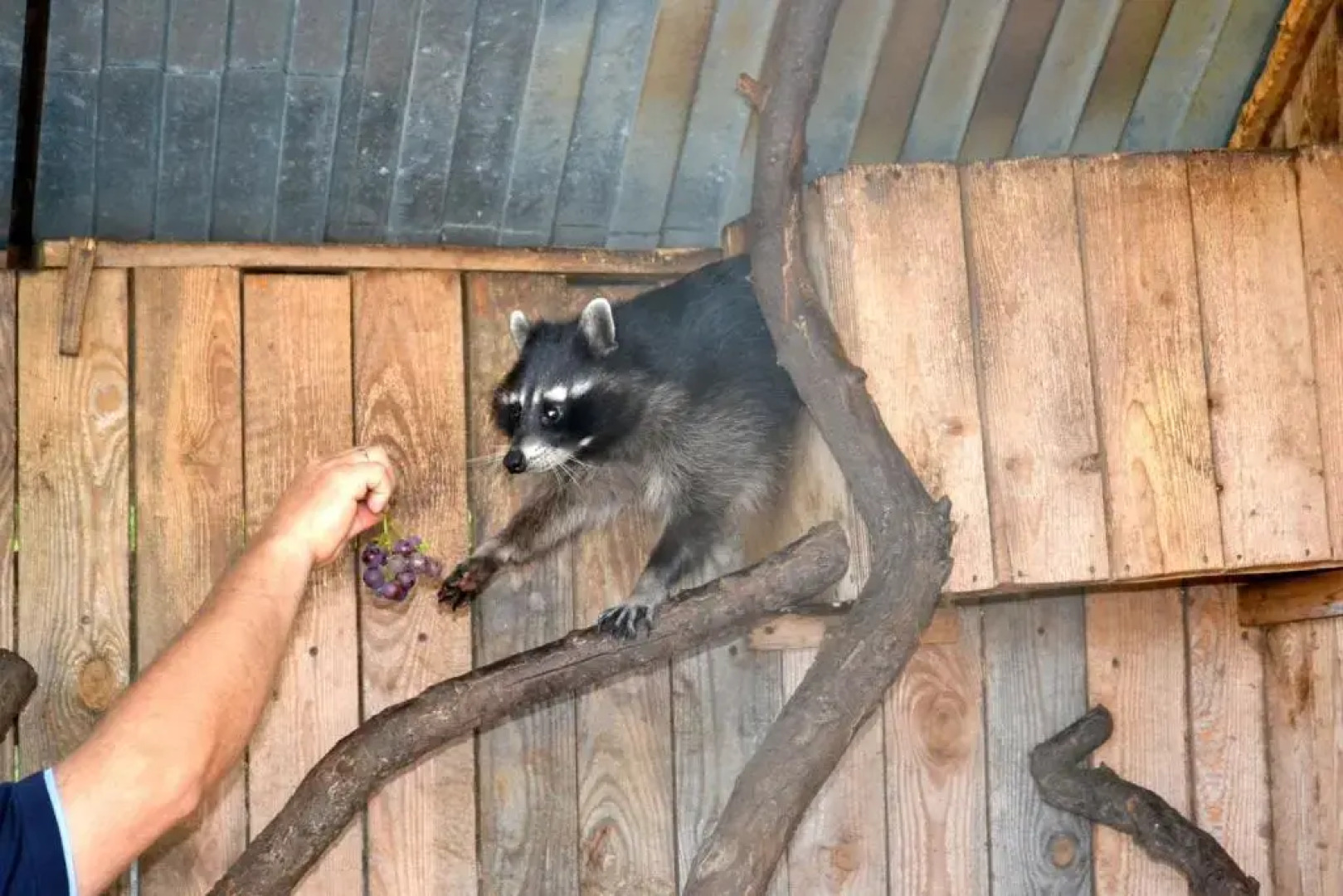 Мини-Отель ССК Профсоюзов