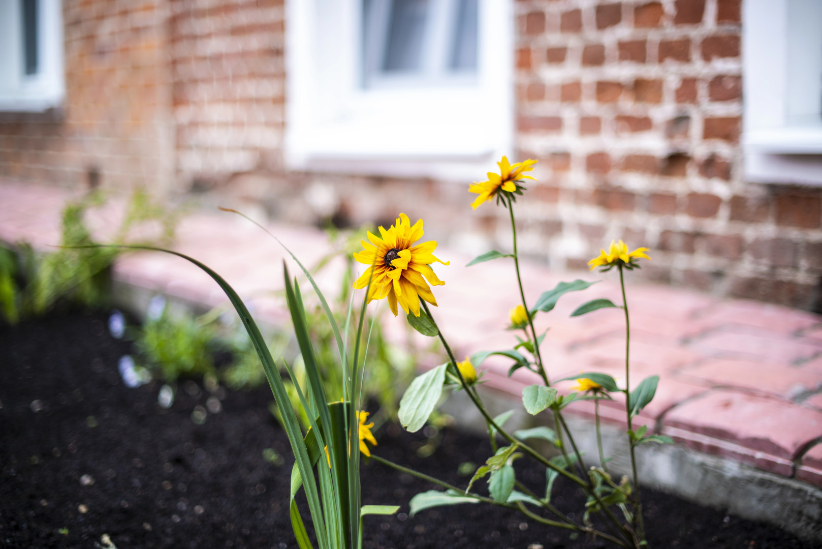 Гостевой дом-музей Красовских.