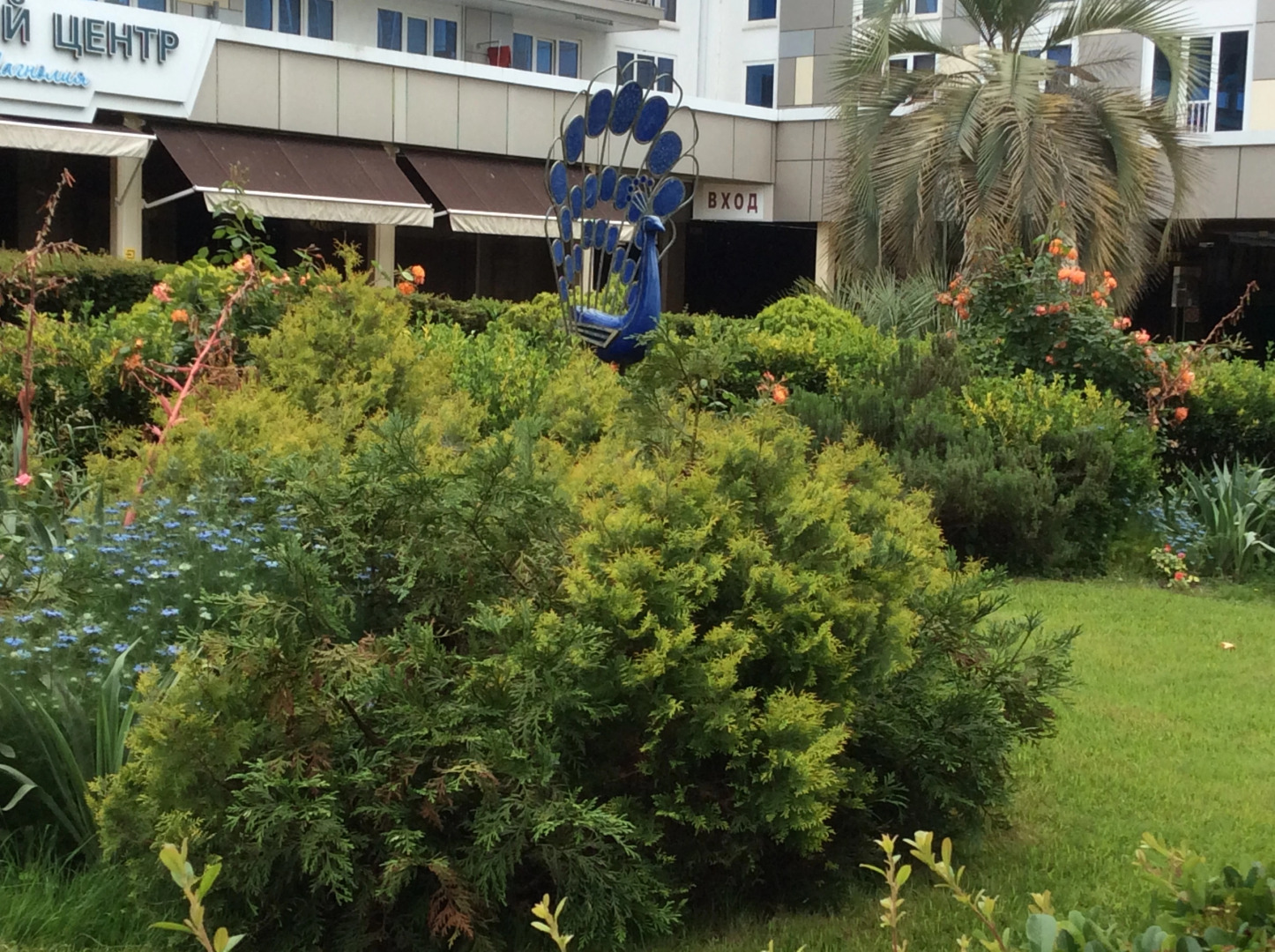 Отель Магнолия