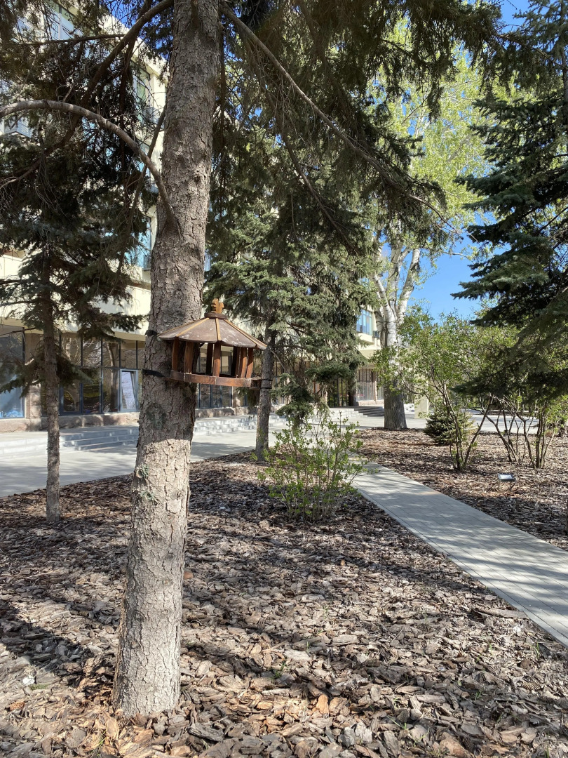 Апартаменты в Центре Волгограда