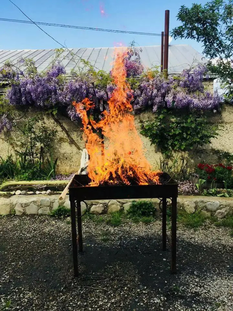 Гостевой Дом Green House Telavi