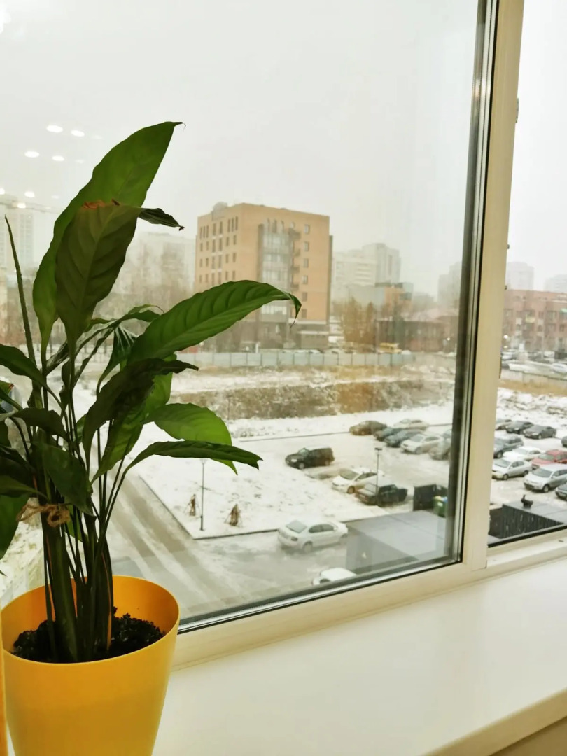 Апартаменты SiberiaLife на Инских Холмах