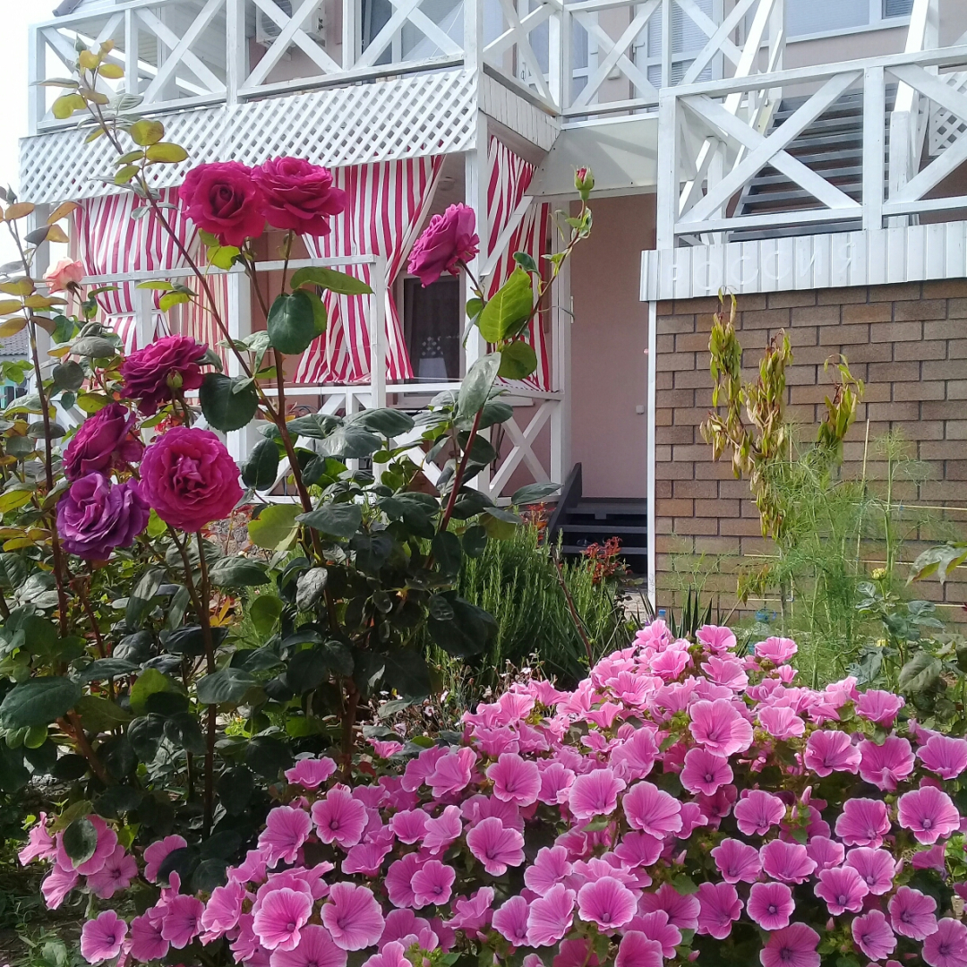 База Отдыха Лукоморье