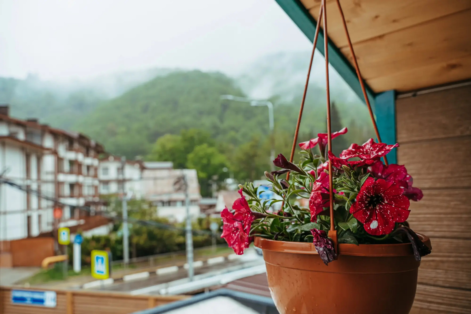 Апартаменты Green Berg 23