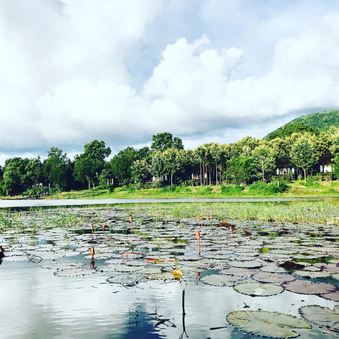 Отель VILLA INLE BOUTIQUE RESORT