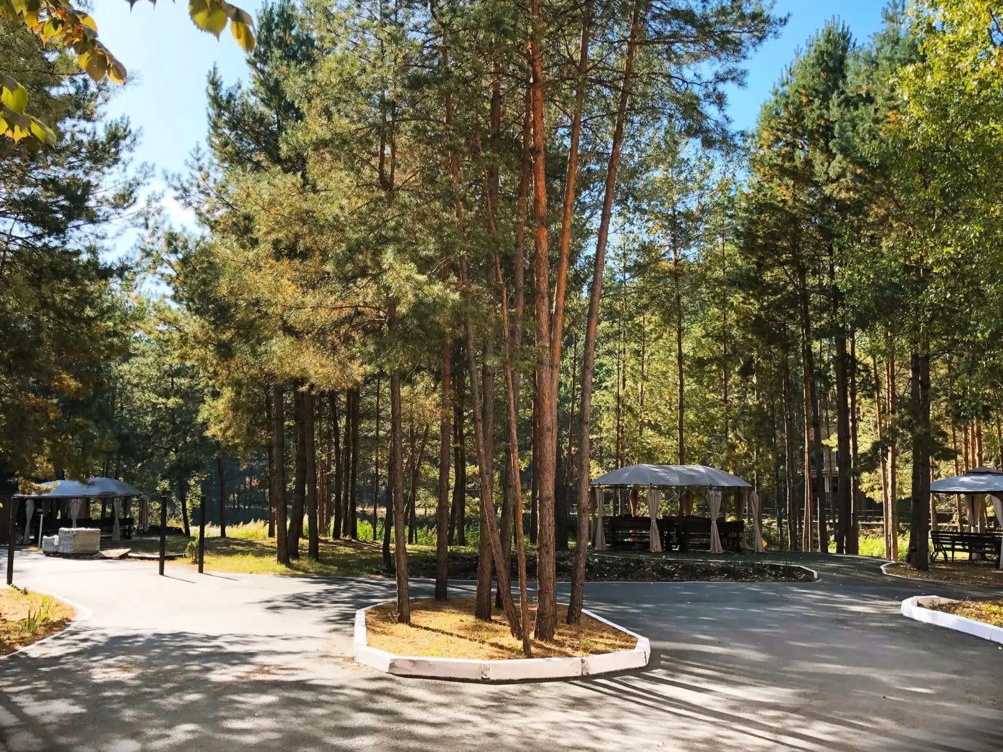 База отдыха Sosnovel