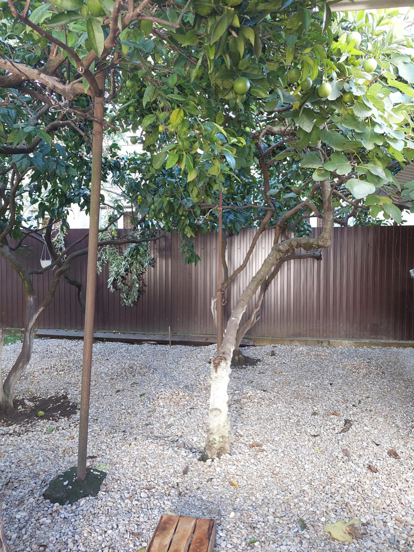 Гостевой дом Белый Лотос