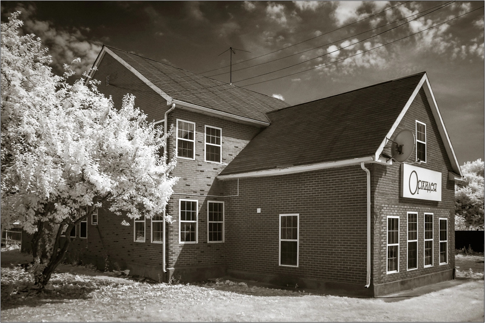 Гостевой Дом Орхидея