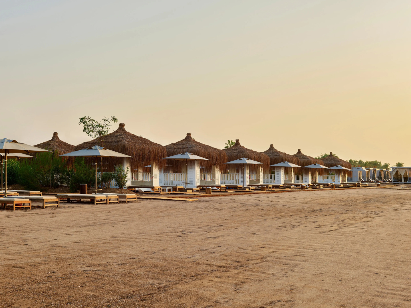 Lara Barut Collection