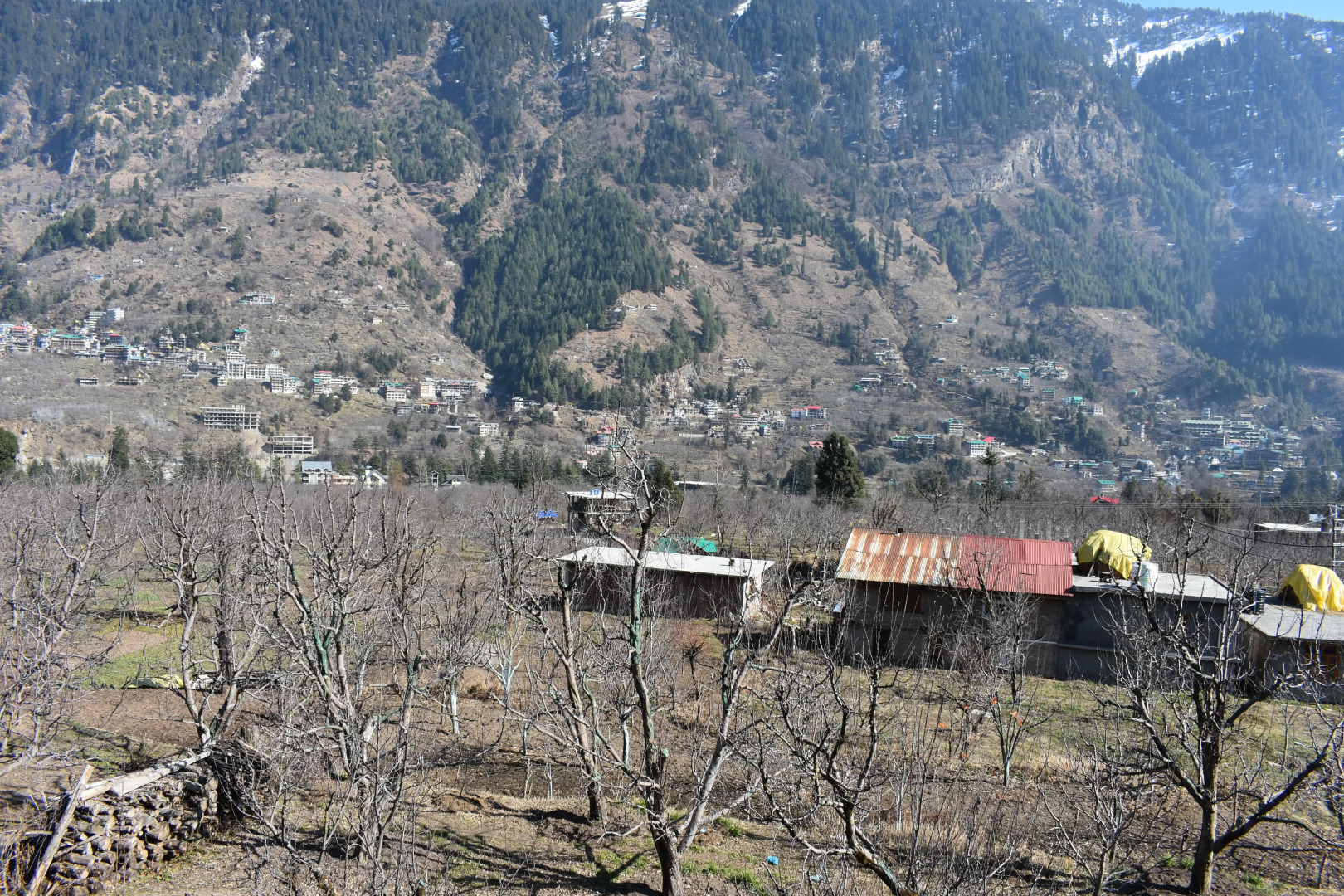 Апартаменты Nishant