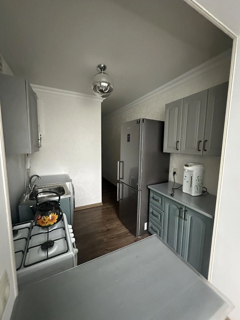 Квартира Grey Cat