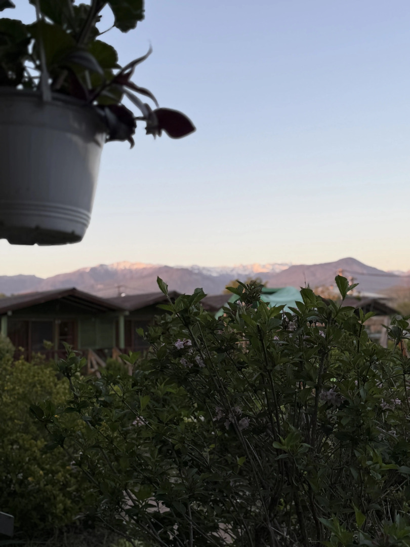 Гостевой дом MiMi