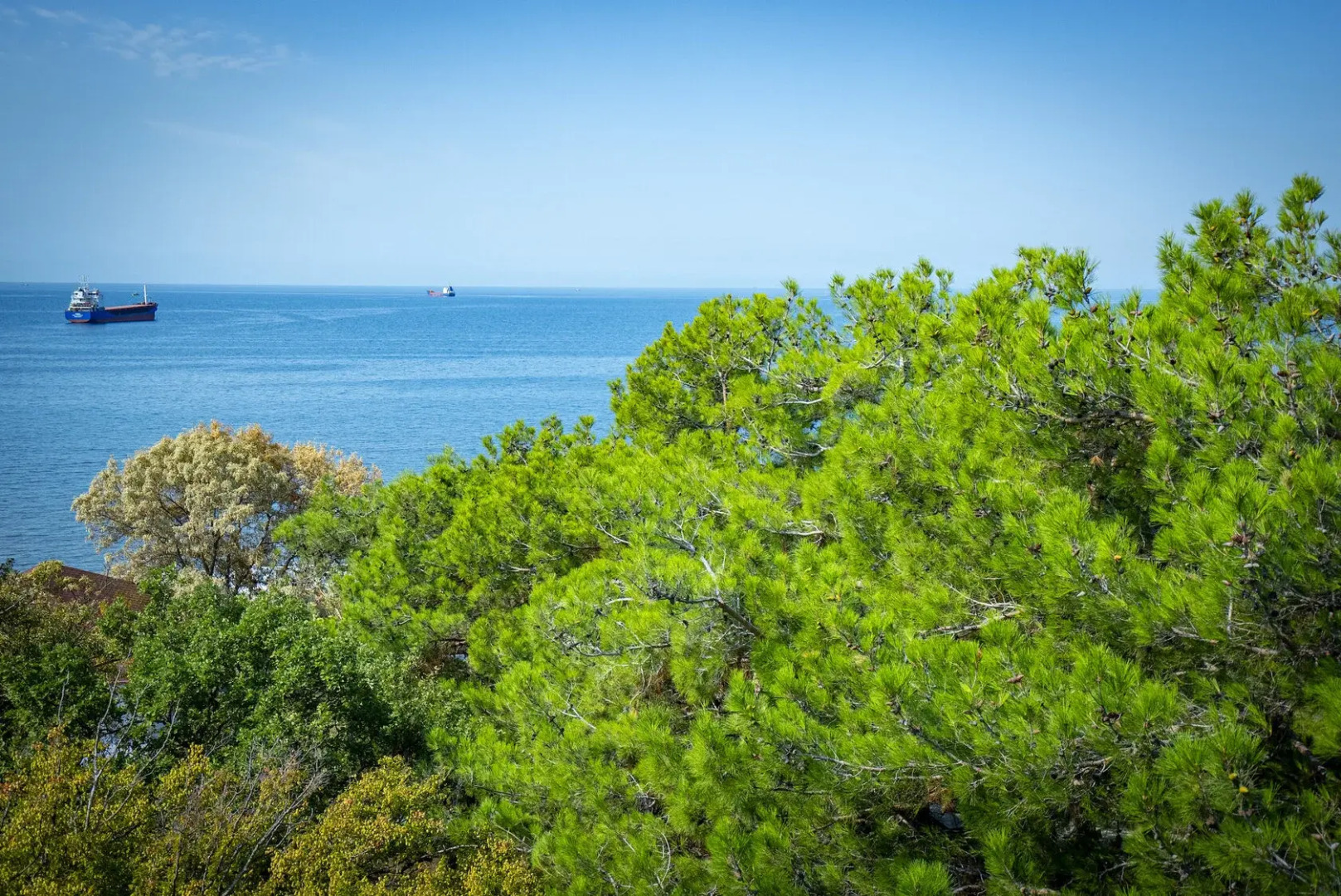 Санаторий Кабардинка