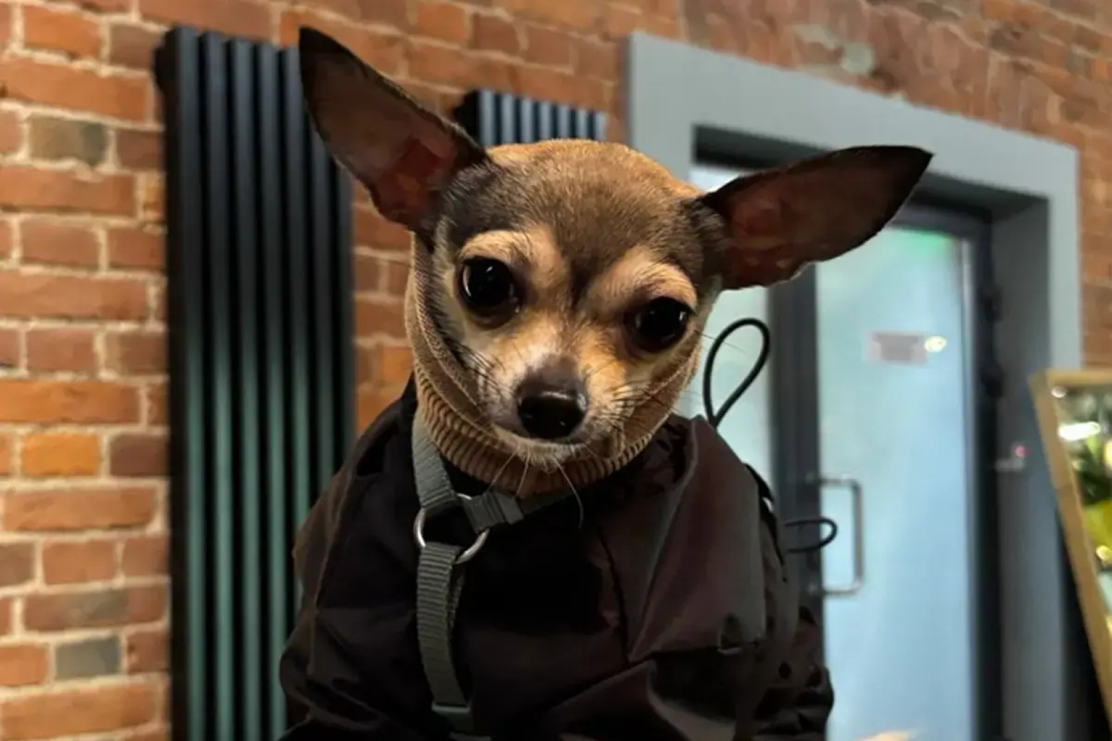 Отель Gutenberg