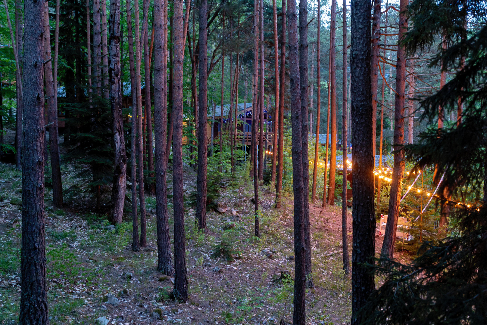 Отель Нарния