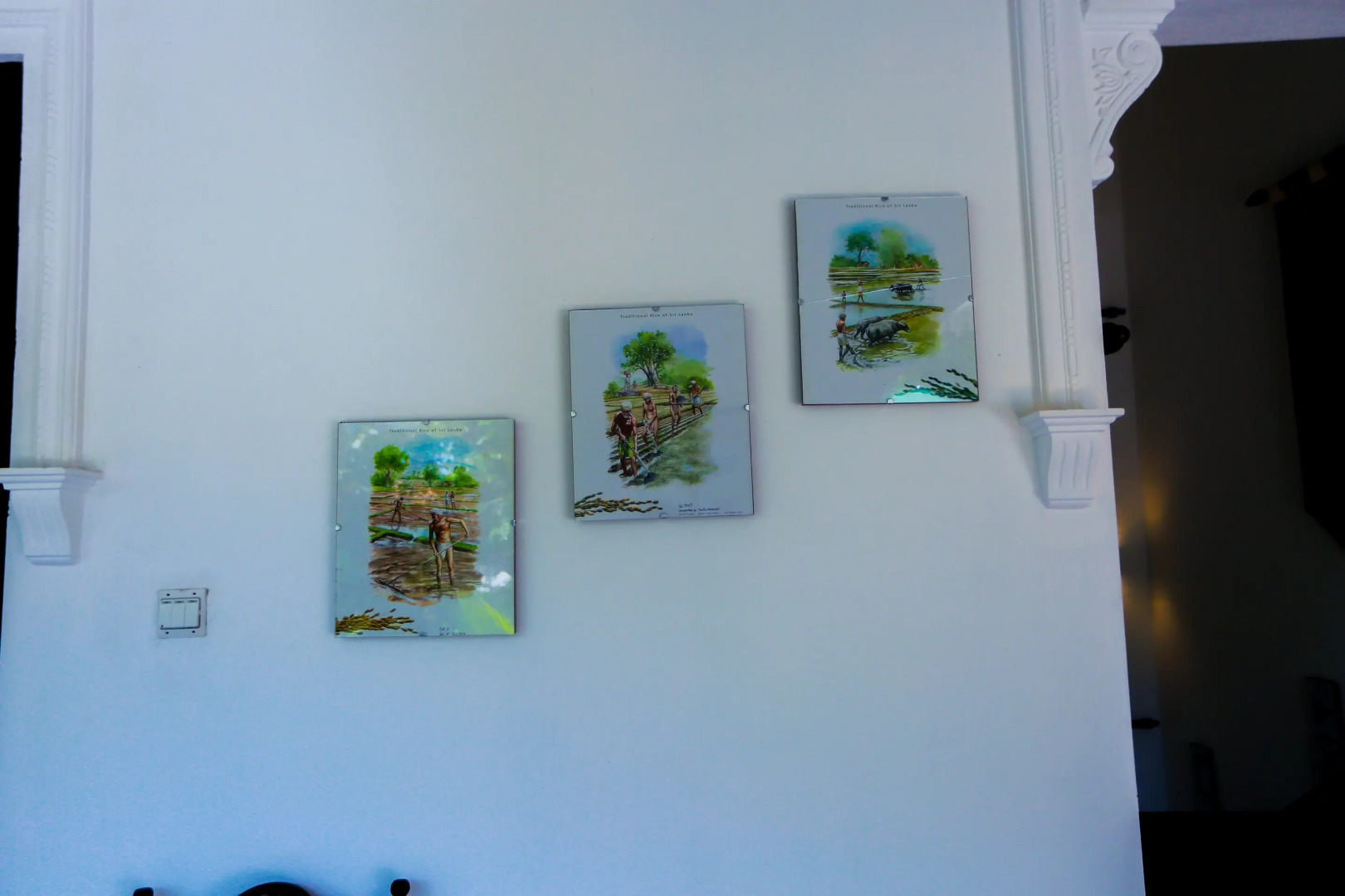 Вилла Sri Lankan