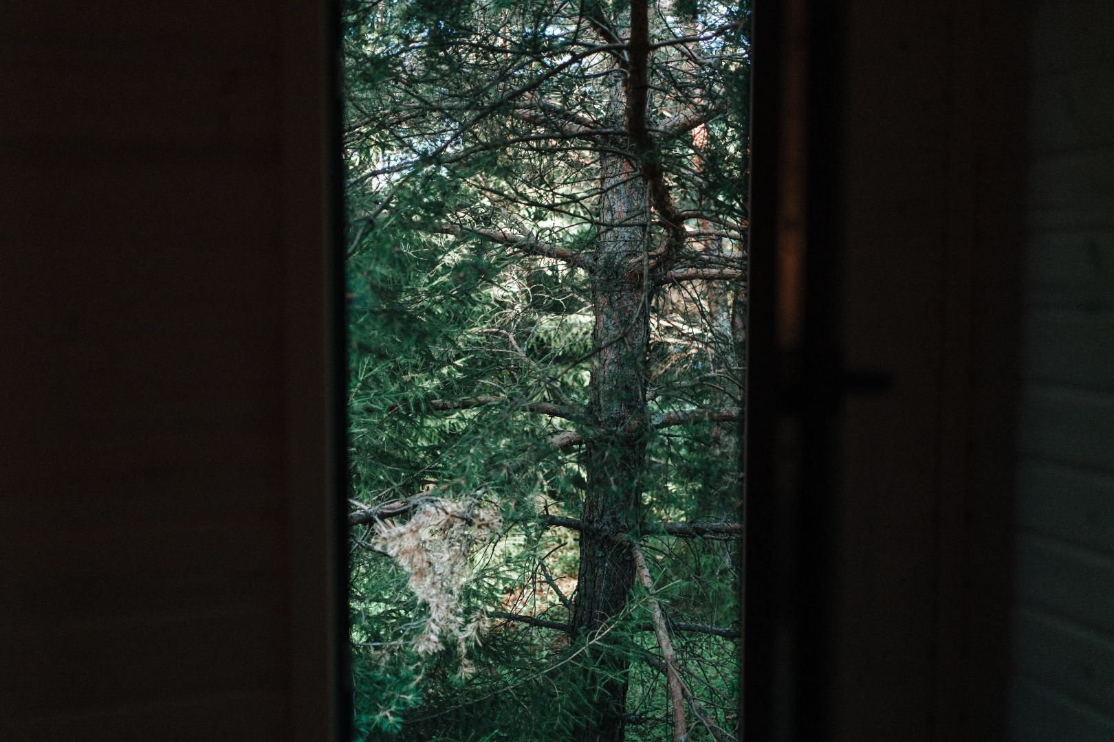 Частный дом Elements Дом Оленя