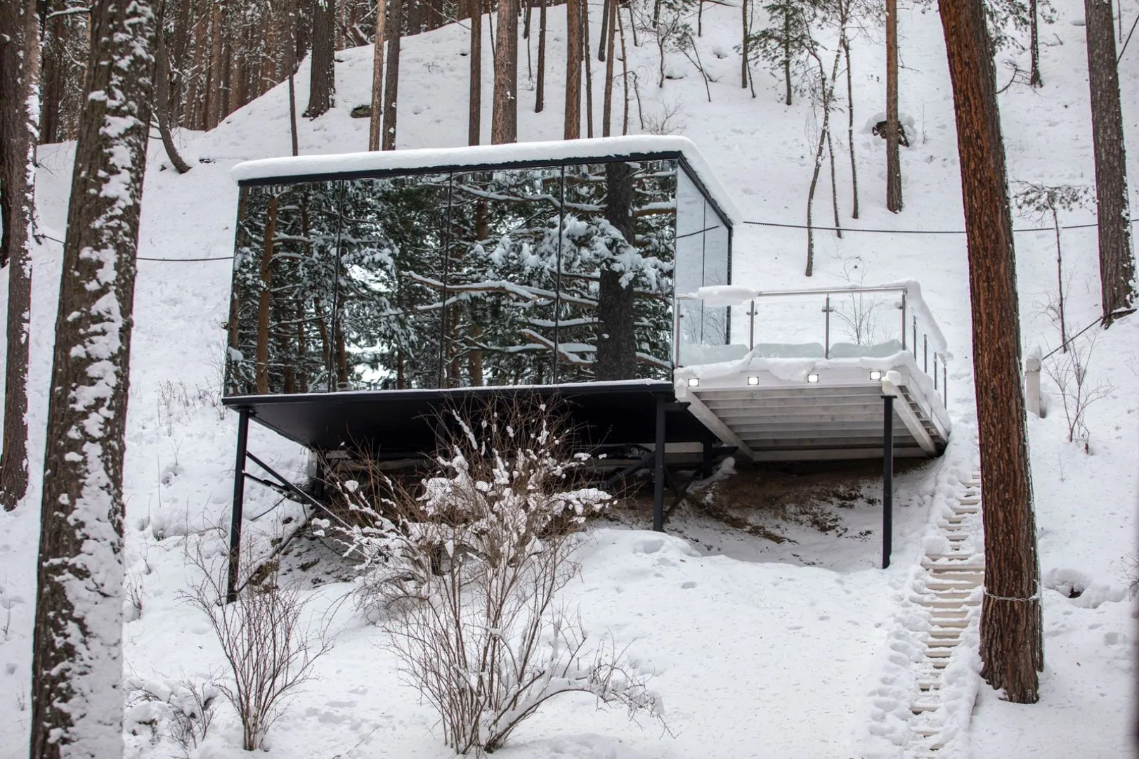 Evolution Guest House