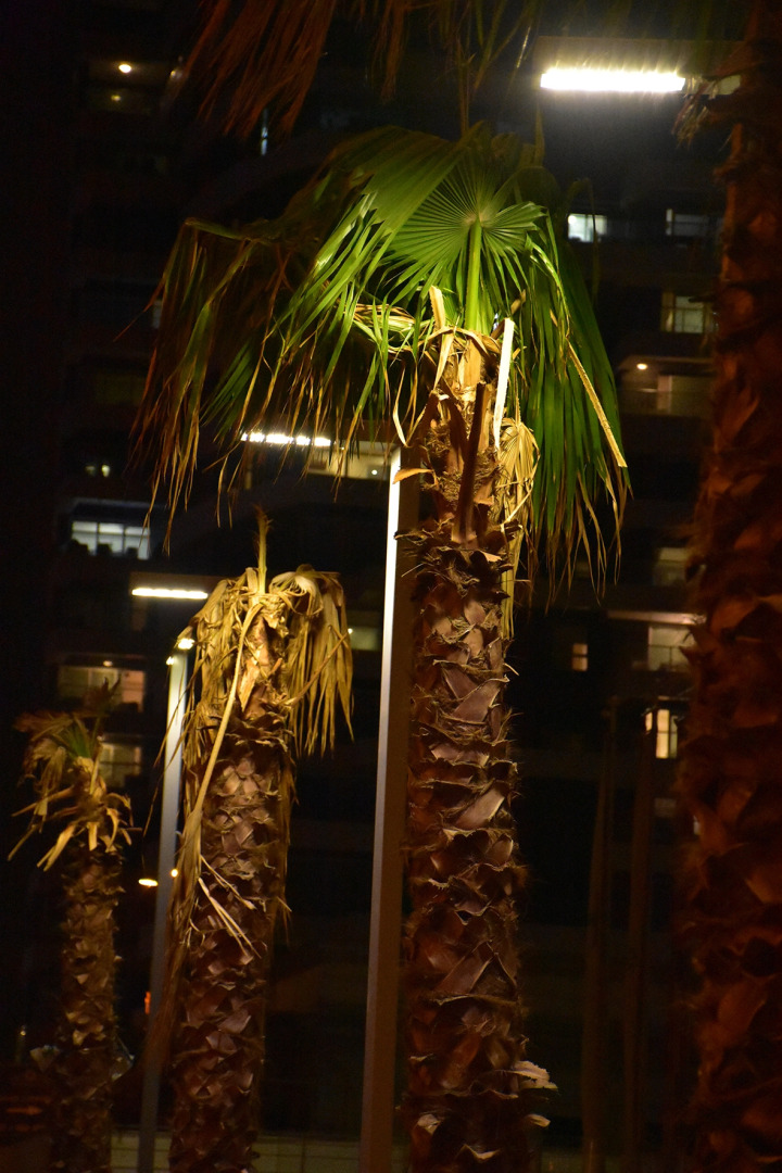 Апартаменты Blue Sea