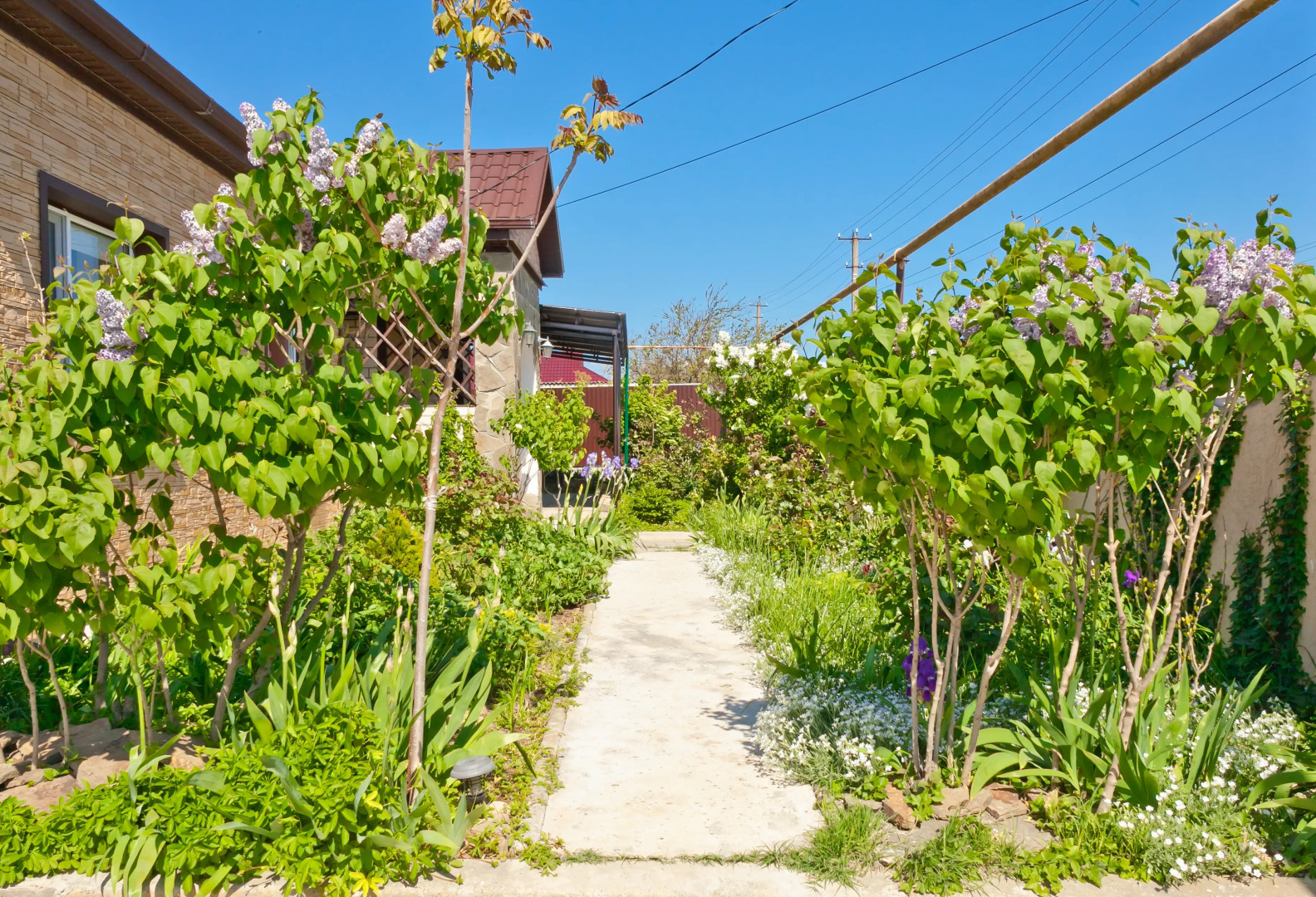 Гостевой дом Ленивый Дельфин