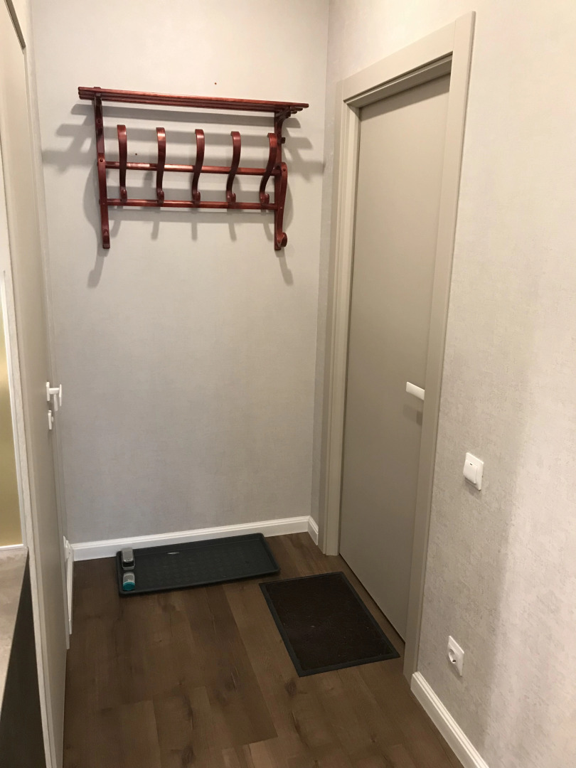 Апартаменты Большая Пушкарская 4