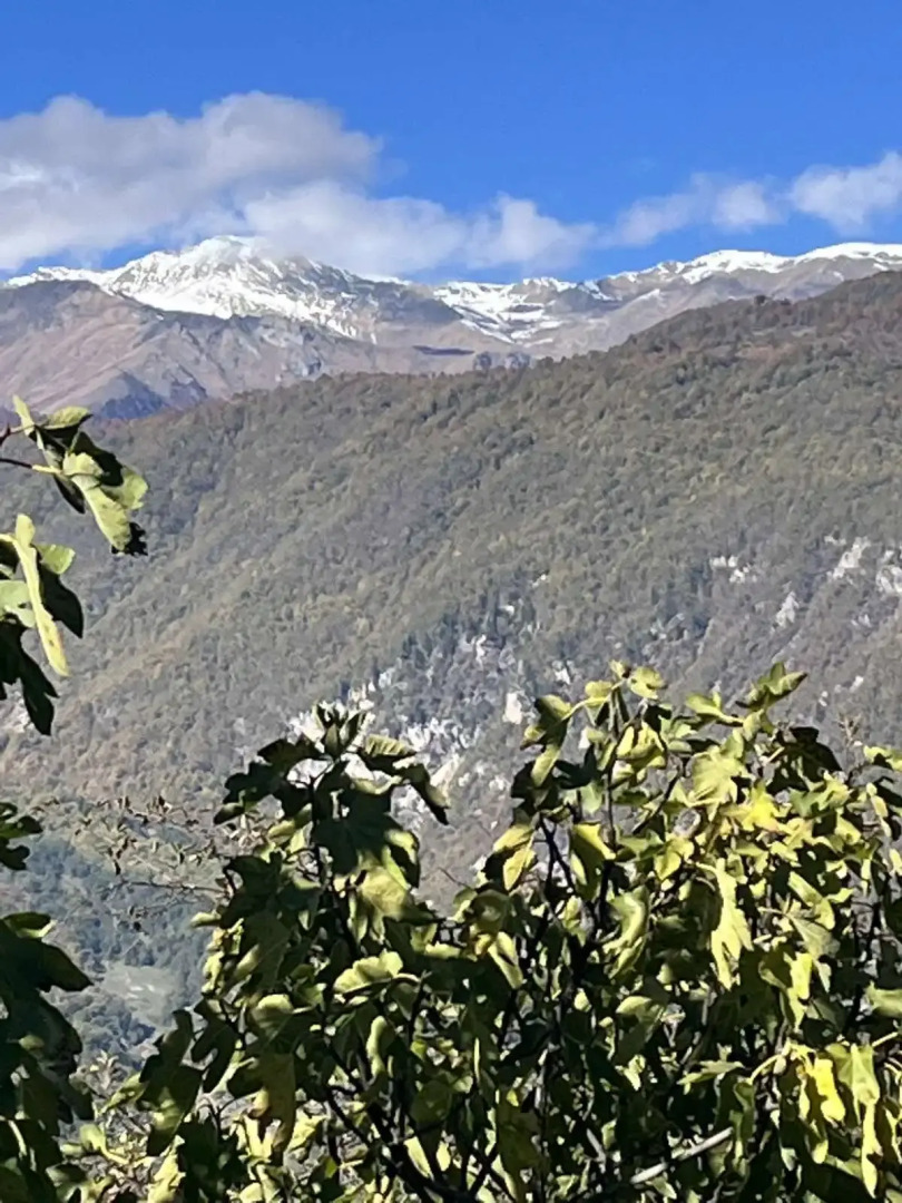 Гостевой дом София Грузия Кутаиси ул, Зугдидская 17