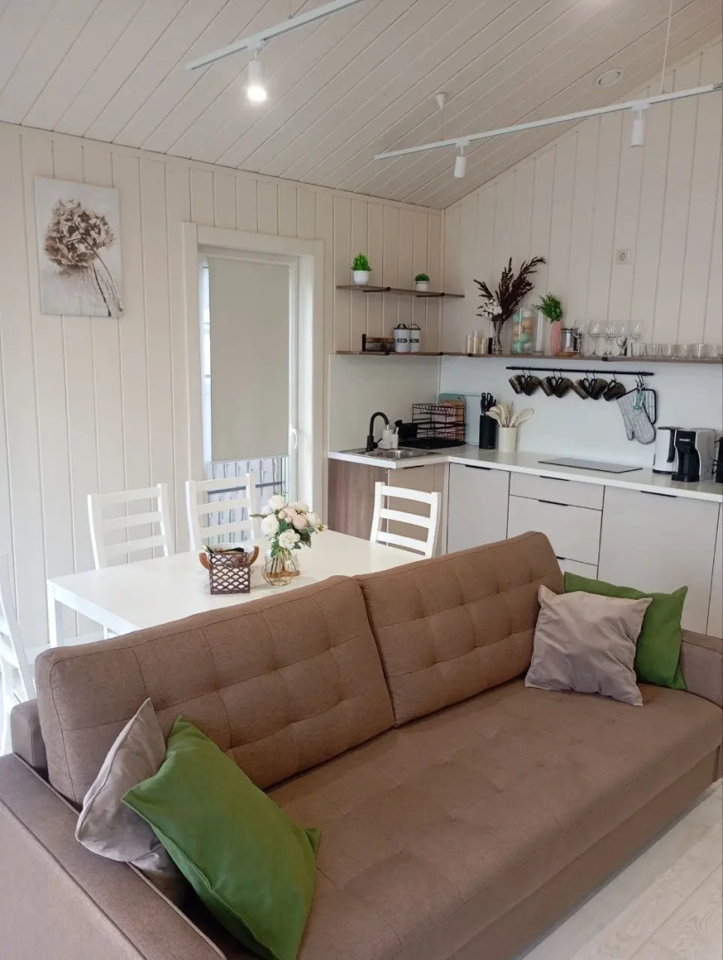 Частный дом современный с чаном