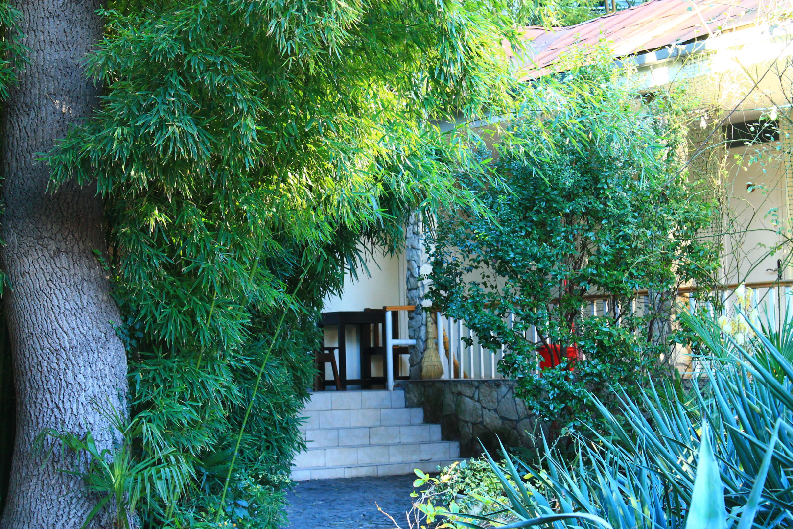 Меблированные комнаты Летний Дворик